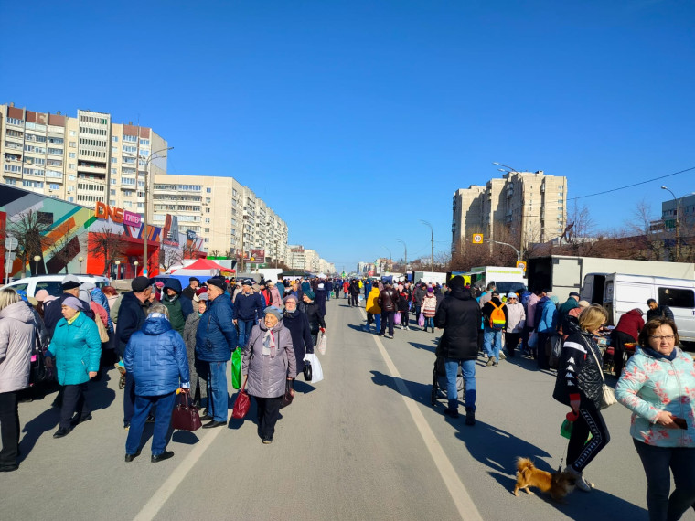 Почти девять тысяч ульяновцев посетили ярмарку в Заволжском районе.