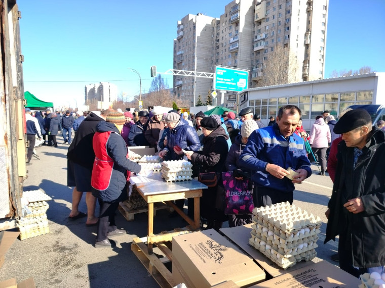 Почти девять тысяч ульяновцев посетили ярмарку в Заволжском районе.