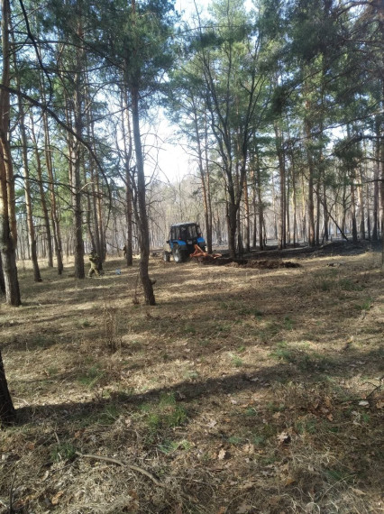 Для противодействия пожарам в Ульяновске создано 130 км минерализованных полос.