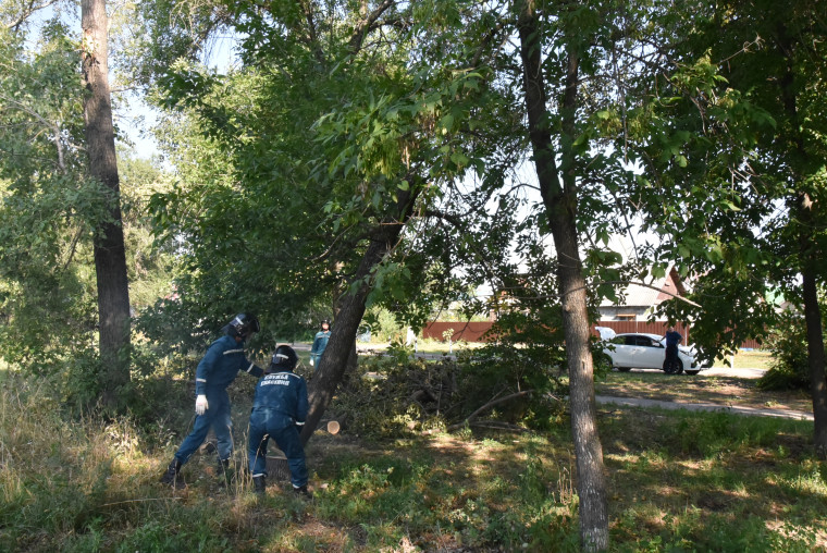 Ульяновский Муниципальный центр управления продолжает принимать заявки на спил поваленных ураганом деревьев.