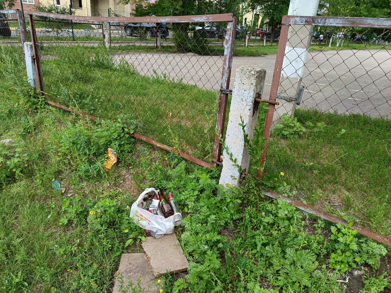 В Дальнем Засвияжье активизировано благоустройство.