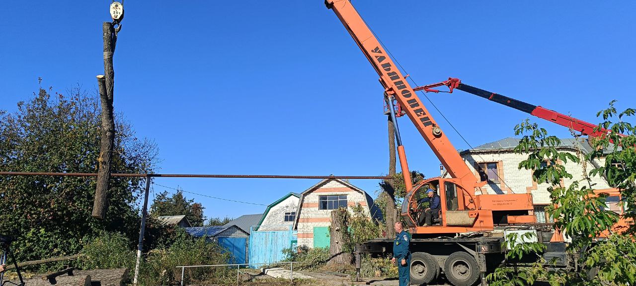 Городские службы Ульяновска в крайне сложных условиях убрали пять аварийных деревьев.